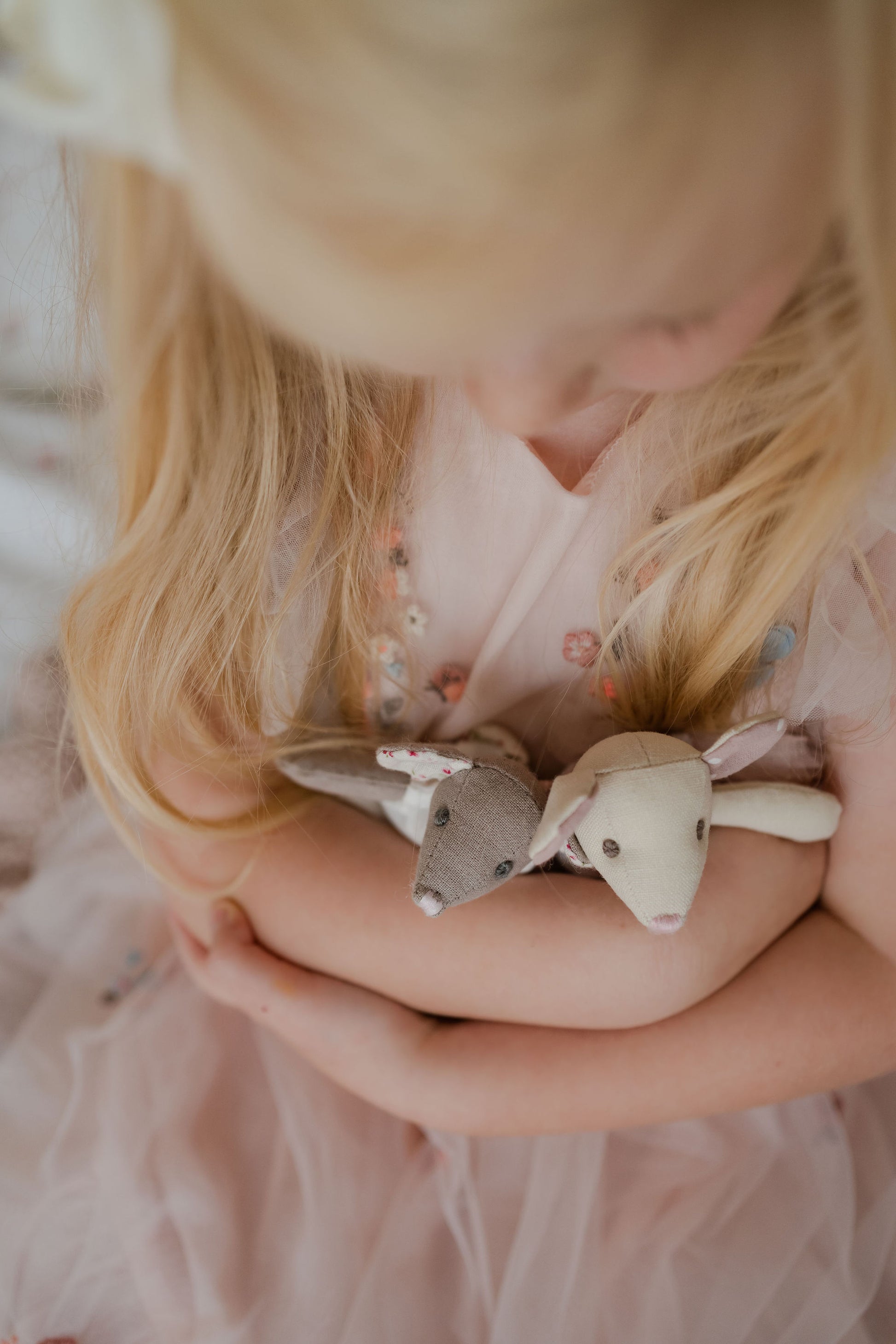 Mimi Mouse Sleepover set which goes with Mabel's Mouse House. Set includes Mimi Mouse, ballet outfits, storybook and accessories.  Great for imaginary play.