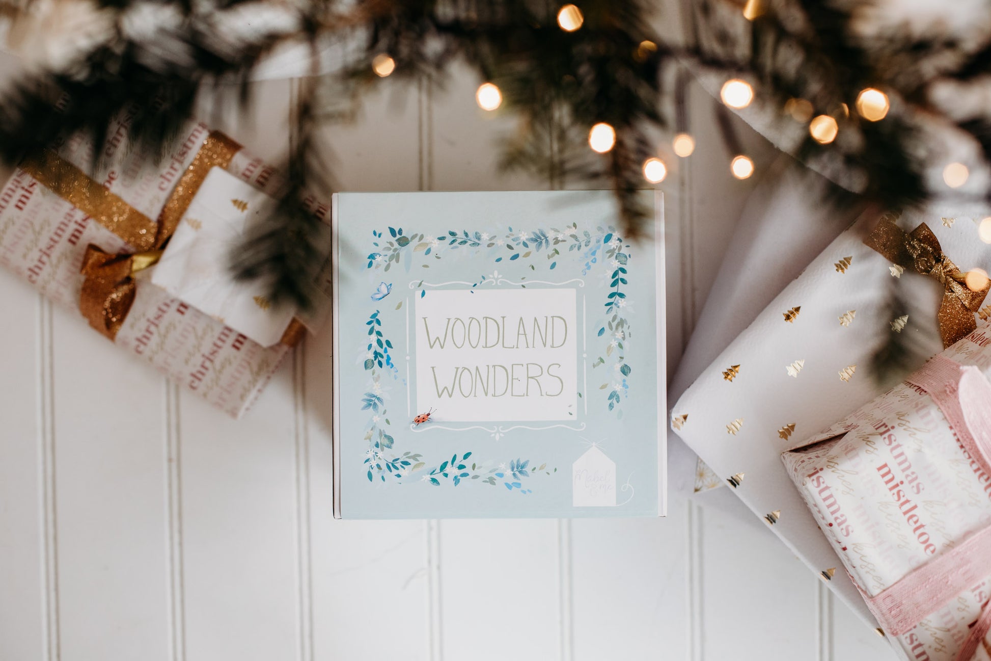 Woodland Wonders outside packaging under the Christmas tree.